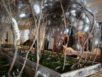 L'incroyable cycle du ver à soie au Musée-Magannerie de Lagorce