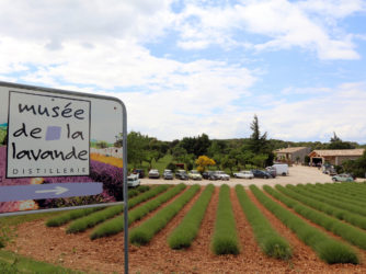 Le musée de la lavande à Saint-Remèze