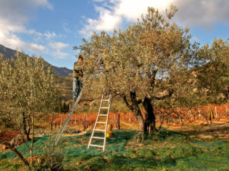 L'automne en Sud Ardèche